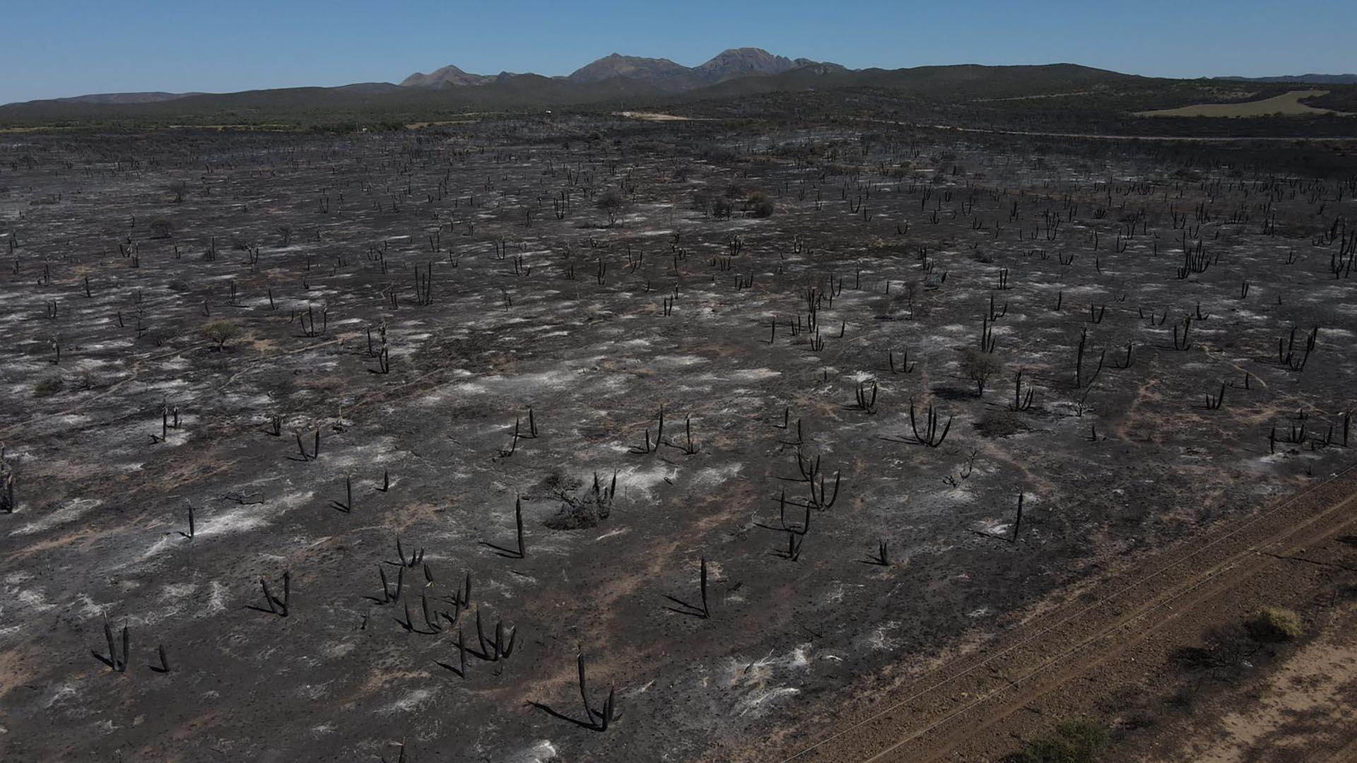 Sequ A E Incendios Mas De Hect Reas Arrasadas En C Rdoba