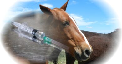 Actualización del sistema de acreditaciones en sanidad animal para veterinarios, técnicos y privados