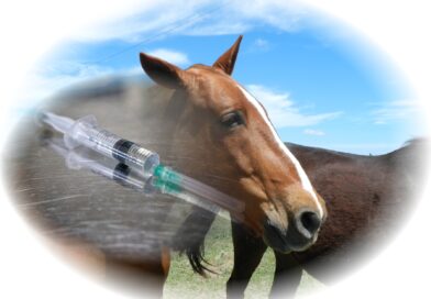 Actualización del sistema de acreditaciones en sanidad animal para veterinarios, técnicos y privados