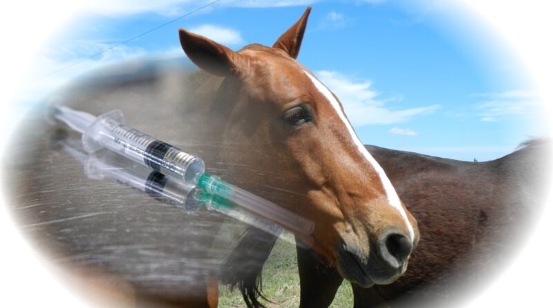 Actualización del sistema de acreditaciones en sanidad animal para veterinarios, técnicos y privados