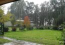 Tormentas fuertes, nieblas y lloviznas para este húmedo cierre de mayo en la Argentina