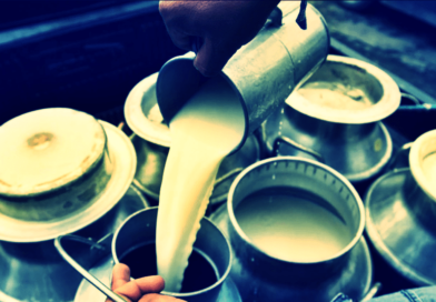 La oferta mundial de leche creció más rápido que la demanda en 2025