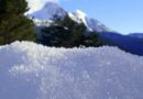 APROVIS – Niveles de cobertura de nieve