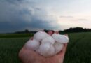Emergencia agropecuaria por daños de granizo y heladas en Entre Rios.