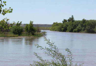 Informe de cobertura nival en la cuenca del Rio Colorado – APROVIS