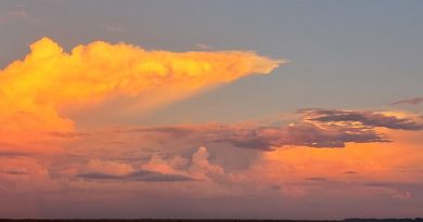 Pronóstico Meteorológico para las Actividades Agropecuarias para el lunes 30-03