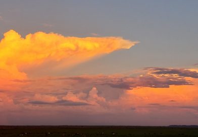 Pronóstico Meteorológico para las Actividades Agropecuarias para el lunes 30-03 Pronóstico Meteorológico para las Actividades Agropecuarias para el lunes 30-03