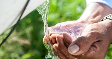 Consejos esenciales para conservar el agua en verano y proteger el medio ambiente