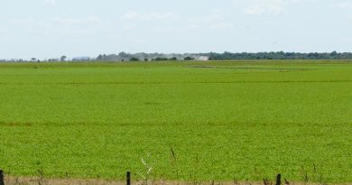 Cómo preparar la próxima campaña: suelos, agua y fertilización