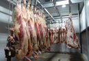 Salto del 20% en las exportaciones de carne