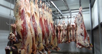 Salto del 20% en las exportaciones de carne