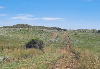 Villarino refuerza la prevención de incendios y avanza con una nueva siembra de alevinos en Laguna Chasicó