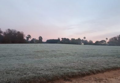 Comienza el invierno con temperaturas bajo cero y heladas en gran parte del país, el miércoles será el día más frio.