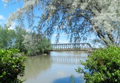 APROVIS:  Noticias de interés.