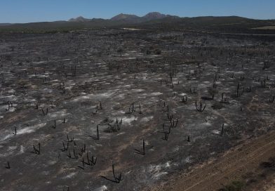 Sequía e incendios: mas de 10.000 hectáreas arrasadas en Córdoba