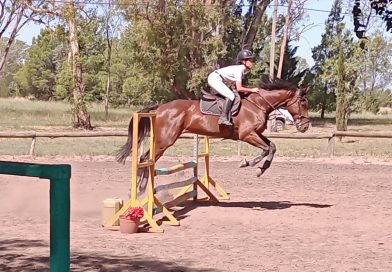 Campeonato de equitación en Lago Parque La Salada