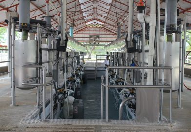 Créditos a valor producto: El Gobierno Nacional junto al BICE amplían su línea para tamberos Créditos a valor producto: El Gobierno Nacional junto al BICE amplían su línea para tamberos
