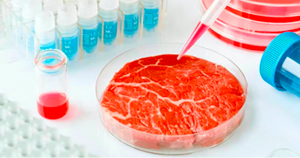 “Carne de laboratorio” fue considerada kosher por el Gran Rabino de Israel