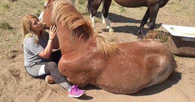Lorena vive en Mayor Buratovich y su gran “don” es el amor por los caballos.
