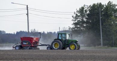 Siembra de trigo: el campo busca alivio fiscal ante costos en alza