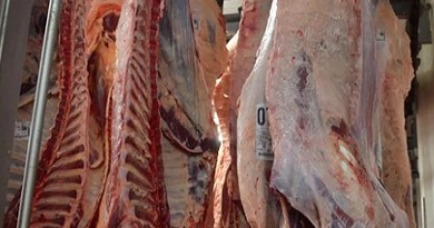 La carne bajo 35% a nivel internacional. ¿Como se reflejará en el mercado interno?