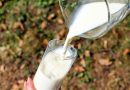 Escenario mundial de la producción lechera en los últimos años: una evaluación de precios y producción.