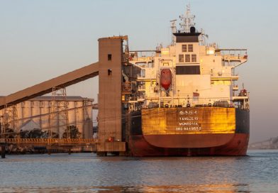 Se inicia la Inscripción de exportadores de granos de girasol con destino a China