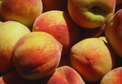 Actualización del marco normativo del Programa Nacional de Moscas de la Fruta