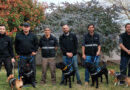 La Brigada Canina ayuda al cuidado de la sanidad patagónica y la salud de su población.