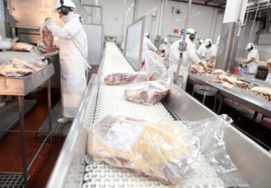 Cuota de carnes a Estados Unidos: se cumplió el 100% del cupo para el ciclo 2025 Cuota de carnes a Estados Unidos: se cumplió el 100% del cupo para el ciclo 2025