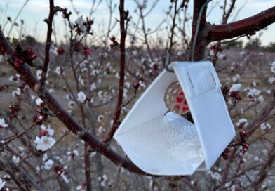 Comité Técnico Nacional del Programa de Moscas de la Fruta analizó el manejo de la plaga Comité Técnico Nacional del Programa de Moscas de la Fruta analizó el manejo de la plaga