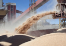 Inscripción para exportadores de granos de cebada, trigo, soja, sorgo y maíz a China