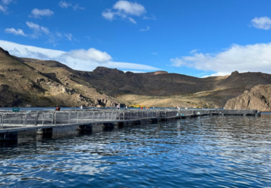 Argentina reafirma su estatus sanitario en la producción de salmónidos de la Norpatagonia