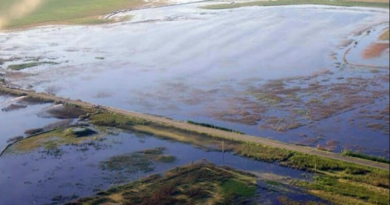 Millones de hectáreas bajo agua en el centro y sudoeste boanerense