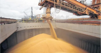 Gran Rosario: potencia global en exportación de alimentos