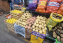 Comercialización de batata en el Mercado Central de Buenos Aires