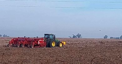 Balance de la campaña agrícola en Argentina: rindes que cumplen, siembras que se frenan y clima que manda