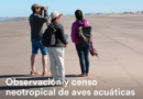 Observación y censo neotropical de aves acuáticas en Villarino