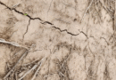 Soja en retroceso: más de dos millones de hectáreas fuera del mapa agrícola 2025/26