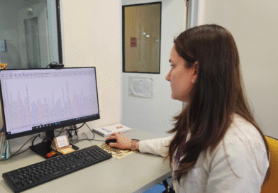 Cómo reconocer al picudo rojo de las palmeras en análisis de muestras en el laboratorio