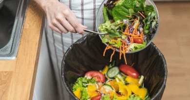 Un tercio de los alimentos producidos en la Tierra se desperdicia antes de llegar a la mesa, según un nuevo estudio