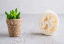 Planta luffa en tu jardín: así podés tener esponjas naturales y ecológicas