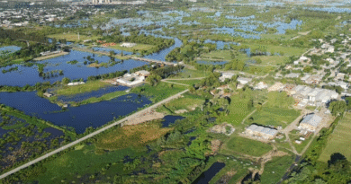 Se prorrogó la emergencia agropecuaria en 9 de Julio y otros tres distritos