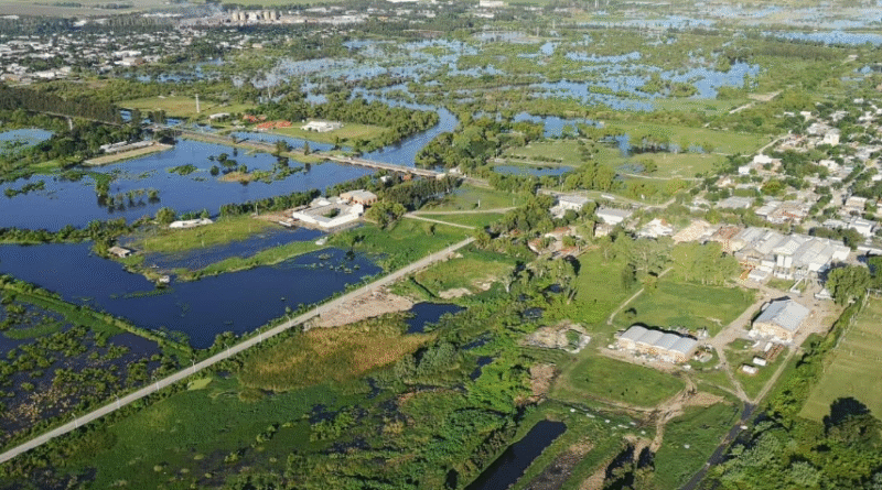 Se prorrogó la emergencia agropecuaria en 9 de Julio y otros tres distritos