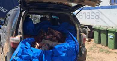 En resguardo de la salud se decomisaron más de 750 kg de carne bovina y pescado
