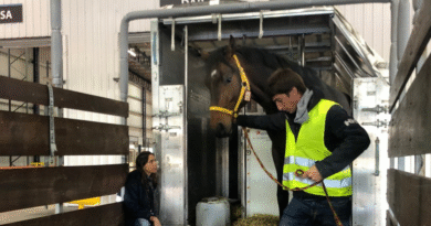 Nuevas condiciones sanitarias para el aislamiento de equinos que sean importados Nuevas condiciones sanitarias para el aislamiento de equinos que sean importados