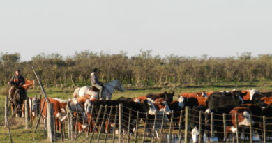 Nuevo aumento salarial para los trabajadores rurales