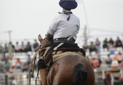 Se reforzaron los controles sanitarios a equinos que ingresaron en la Fiesta del Talar Se reforzaron los controles sanitarios a equinos que ingresaron en la Fiesta del Talar
