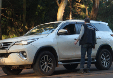 SENASA recuerda que está prohibido ingresar al país plantas sin su documentación sanitaria SENASA recuerda que está prohibido ingresar al país plantas sin su documentación sanitaria