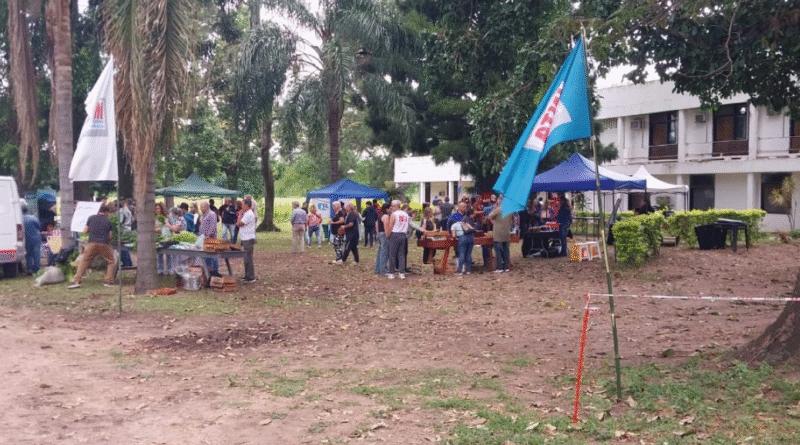 Éxito rotundo en la Expo Frutihortícola y encuentro de la producción de frutilla Éxito rotundo en la Expo Frutihortícola y encuentro de la producción de frutilla